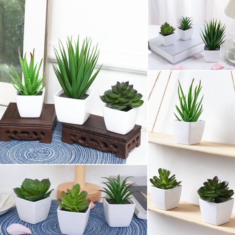 Plant Desk Mini - (3 adetlik set) Evleri, Restoranlar, Masa
