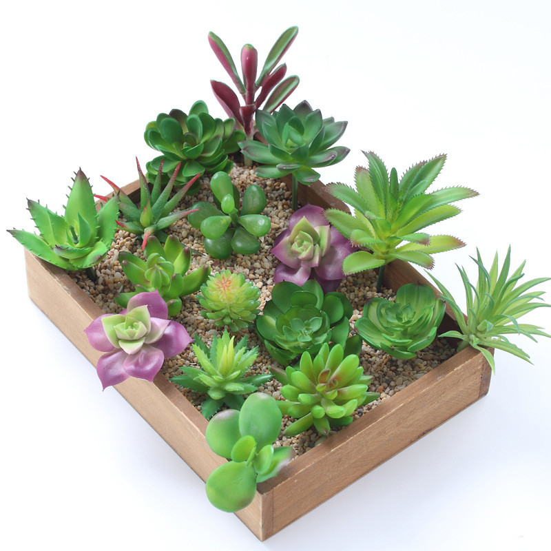 2021 yapay Succulents bitkiler - Plant Desk Mini incelemesi ve fiyatı