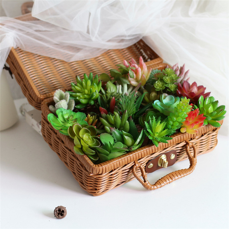 2021 yapay Succulents bitkiler - Plant Desk Mini incelemesi ve fiyatı