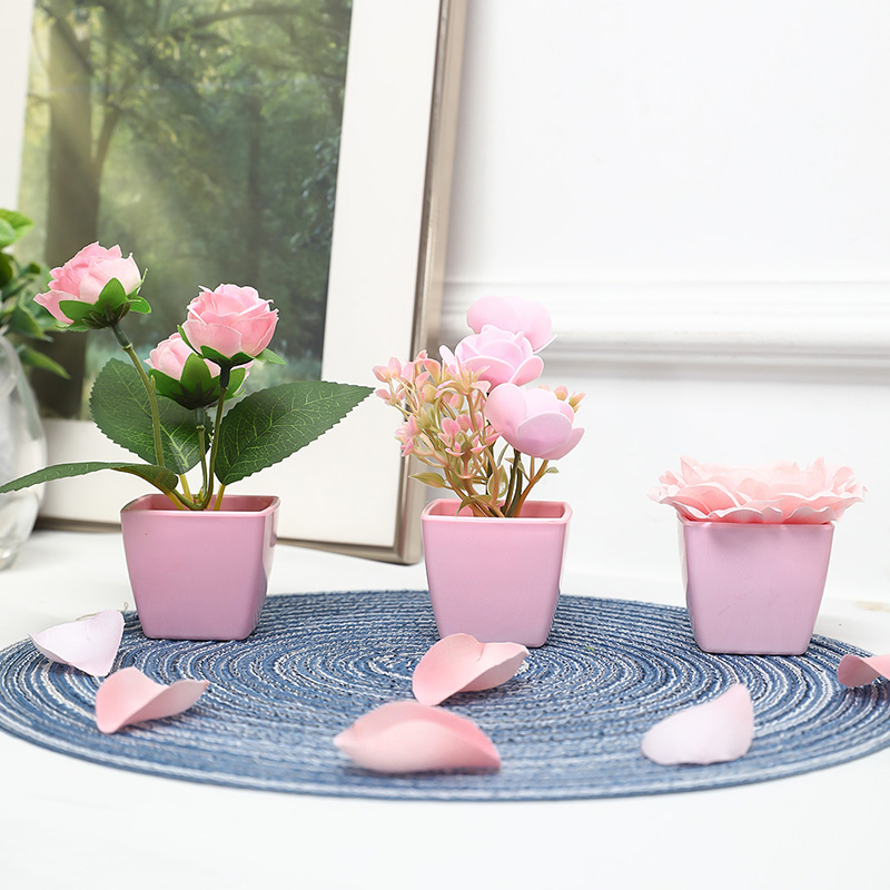 (3 adetlik set) Evleri, Restor - Plant Desk Mini incelemesi ve fiyatı