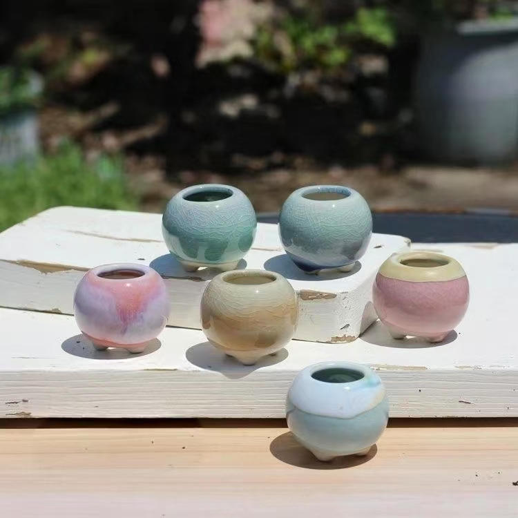 6 Adet Mini Saksı Succulents K - Plant Desk Mini incelemesi ve fiyatı
